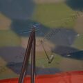 DSC_0079.JPG