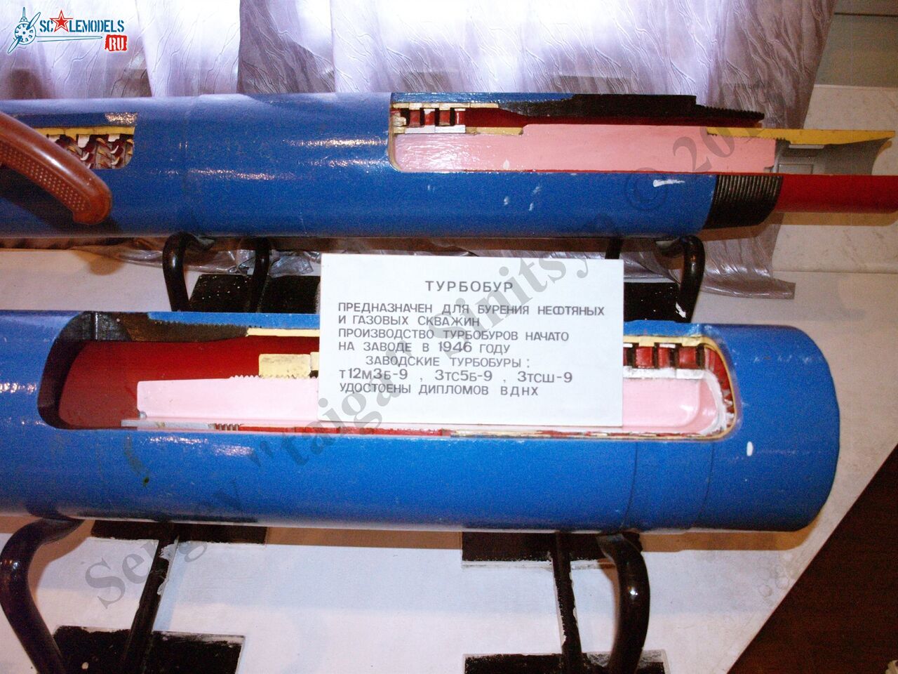 PB100539.JPG