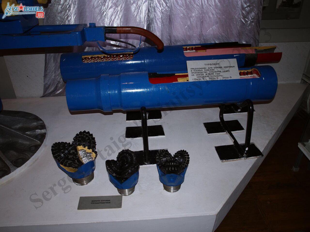PB100540.JPG
