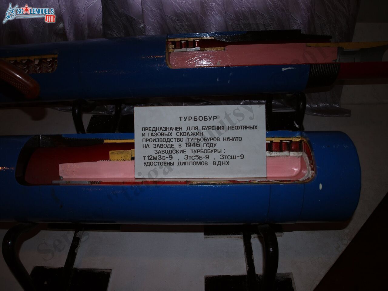 PB100541.JPG