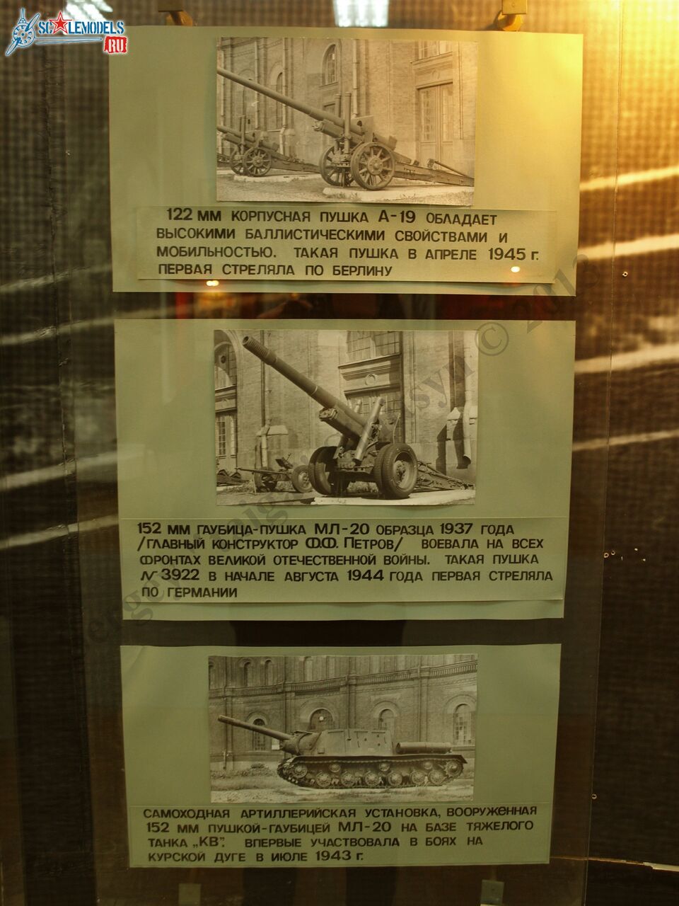 PB100579.JPG