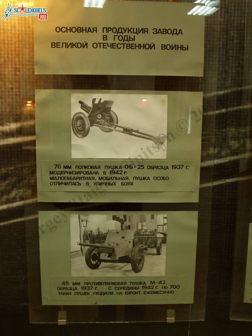 PB100580.JPG