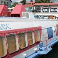IMG_2962