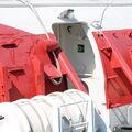 IMG_2971