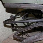 IMG_9916