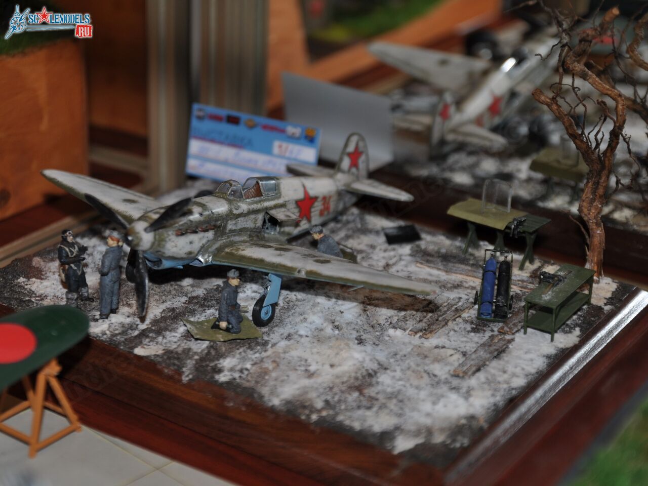 MiniMAKS-2014_0077.jpg