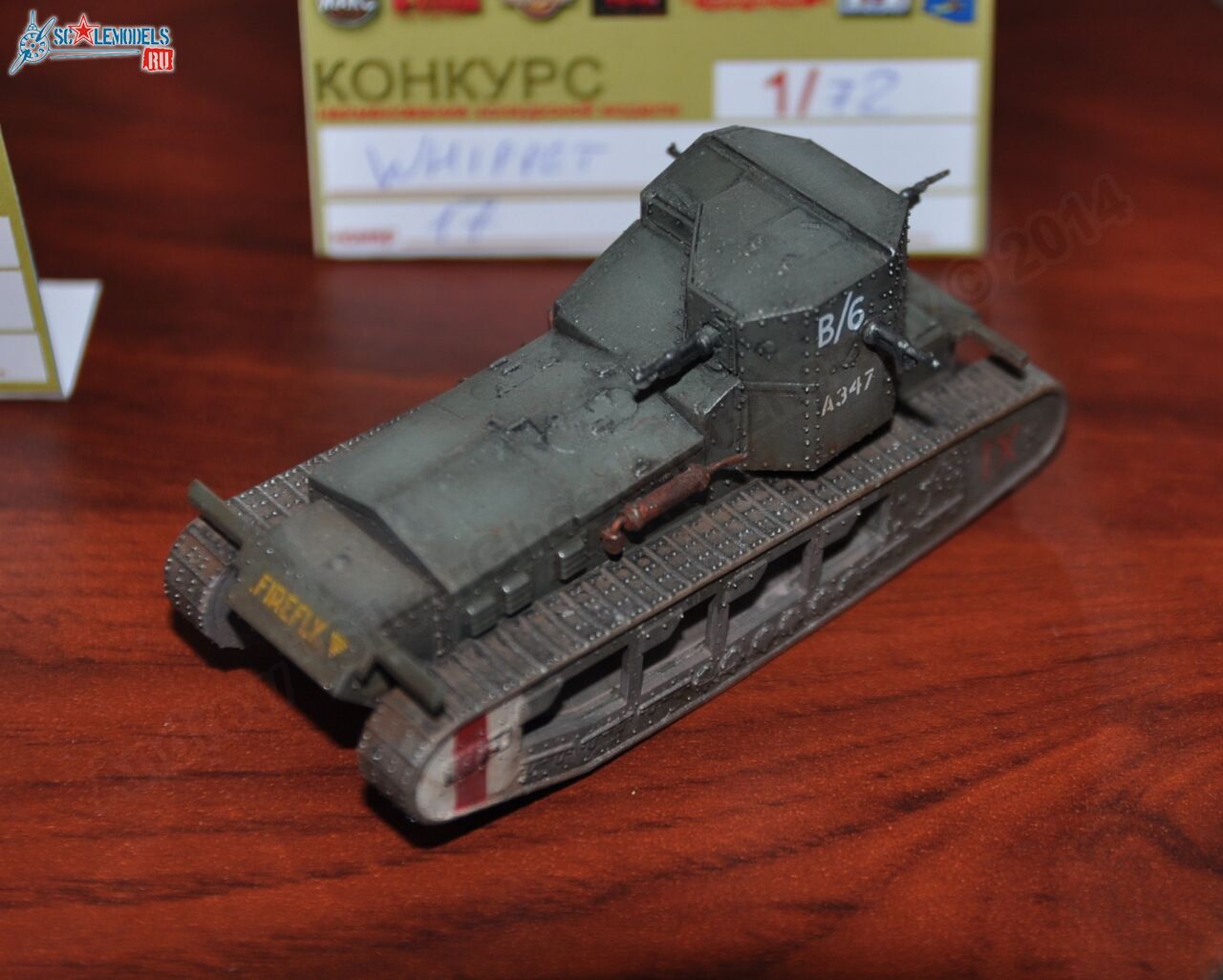 MiniMAKS-2014_0141.jpg
