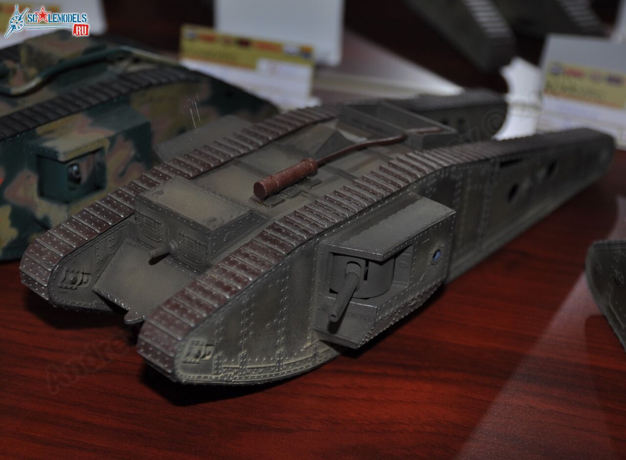 MiniMAKS-2014_0146.jpg