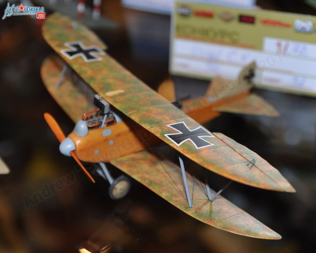 MiniMAKS-2014_0176.jpg