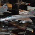 MiniMAKS-2014_0256.jpg