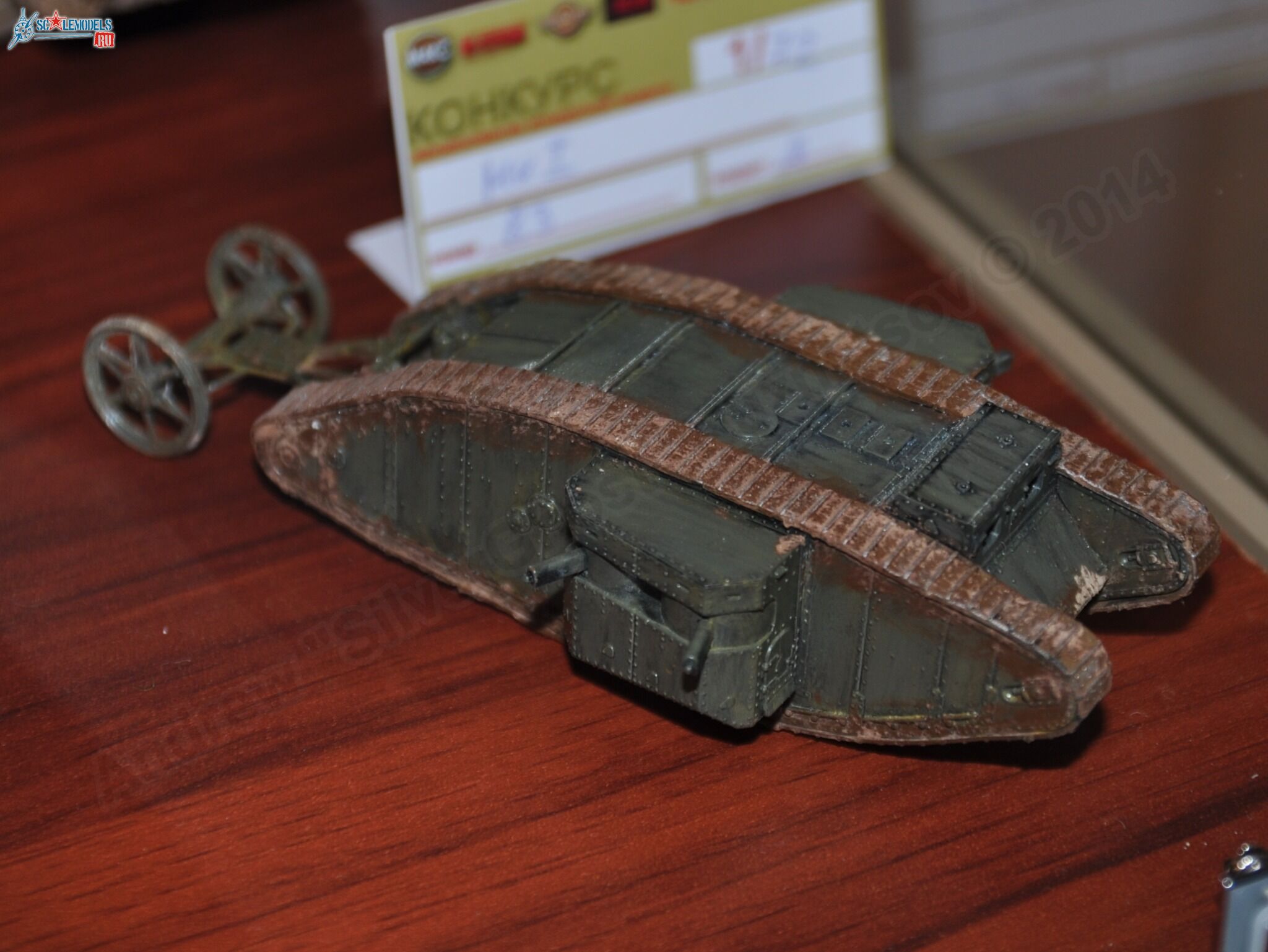 MiniMAKS-2014_0133.jpg