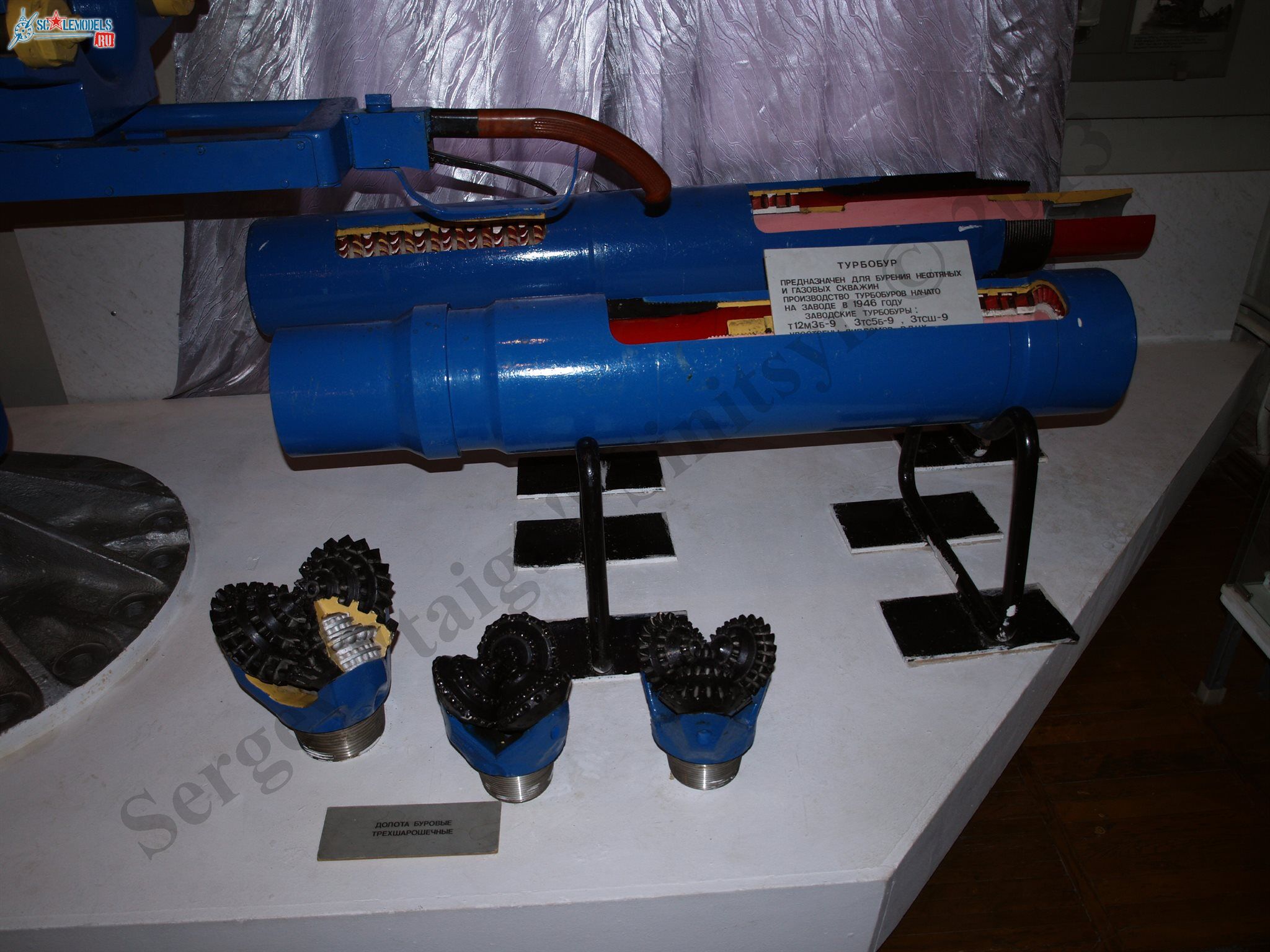 PB100540.JPG