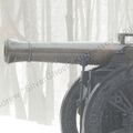 Old_gun_0028.jpg