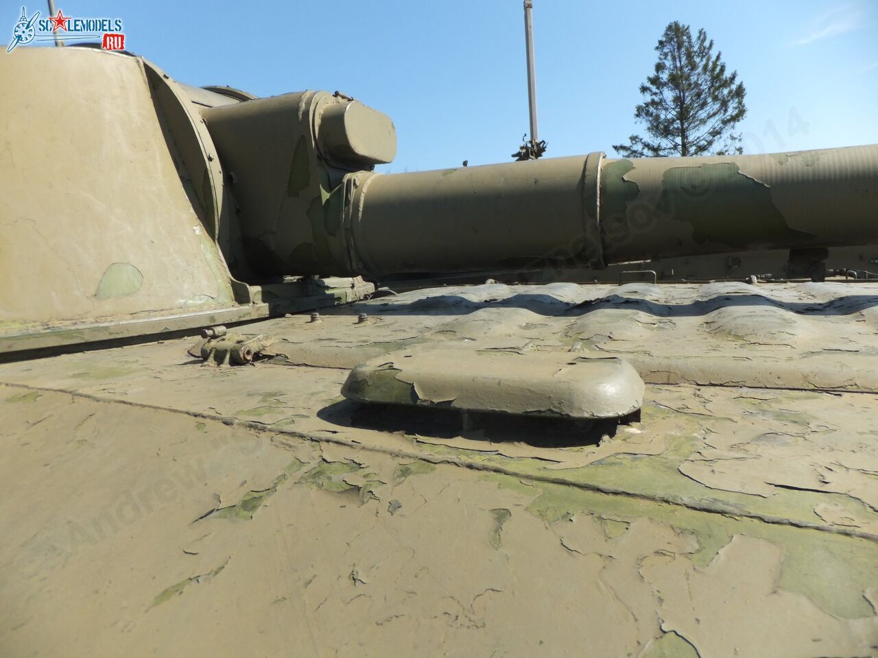 2S1_Gvozdika_0091.jpg