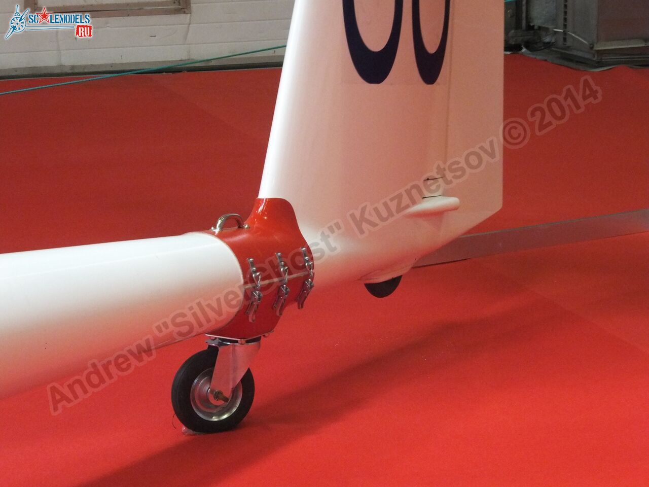 Duo_Discus_0016.jpg