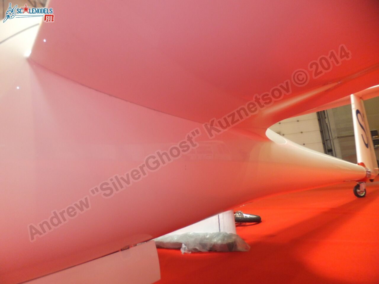 Duo_Discus_0024.jpg