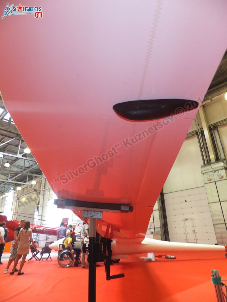 Duo_Discus_0047.jpg