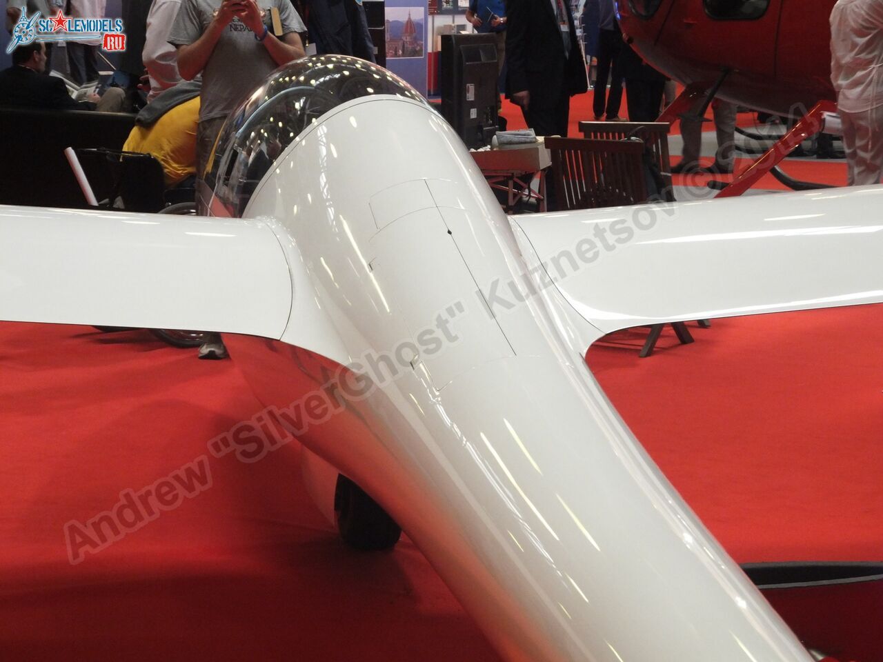 Duo_Discus_0060.jpg
