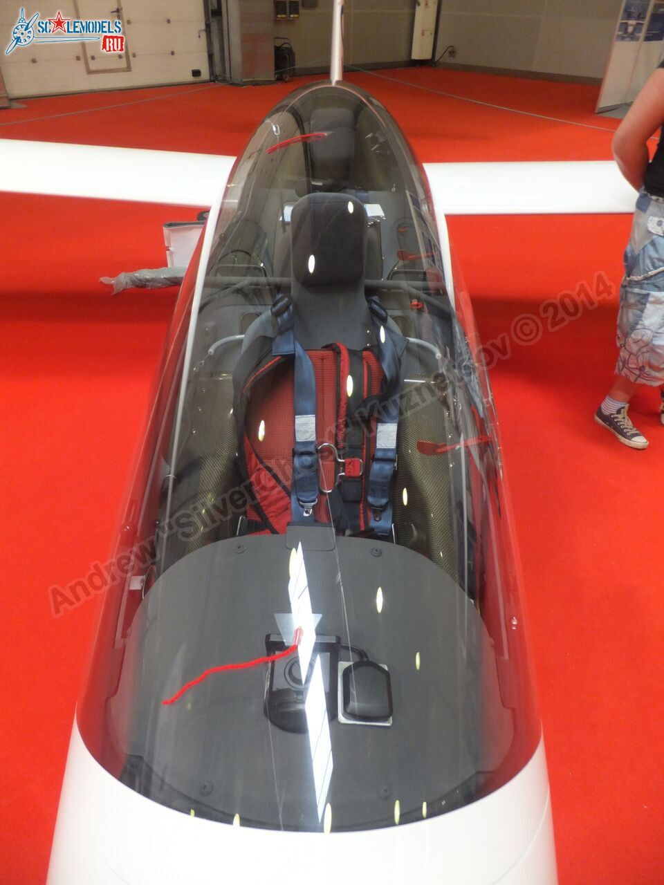 Duo_Discus_0082.jpg