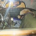 DSCF6846.JPG
