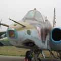 Су-25 б/н 11, 70 лет КВВАУЛ, аэродром Краснодар-Центральный, Россия
