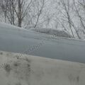 Tu-16_Badger_Smolensk_0014.jpg