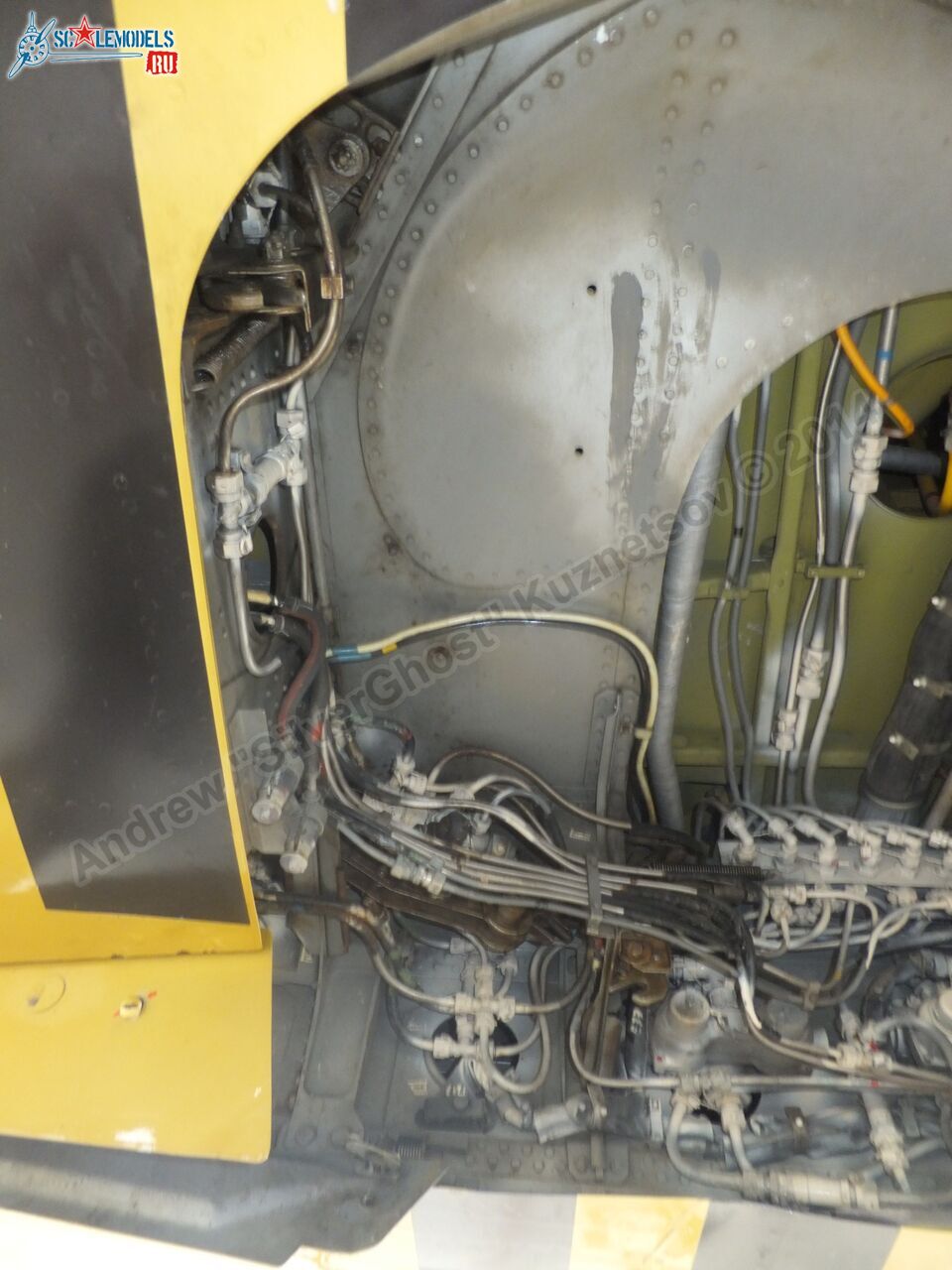 L-39_Albatros_05_0115.jpg