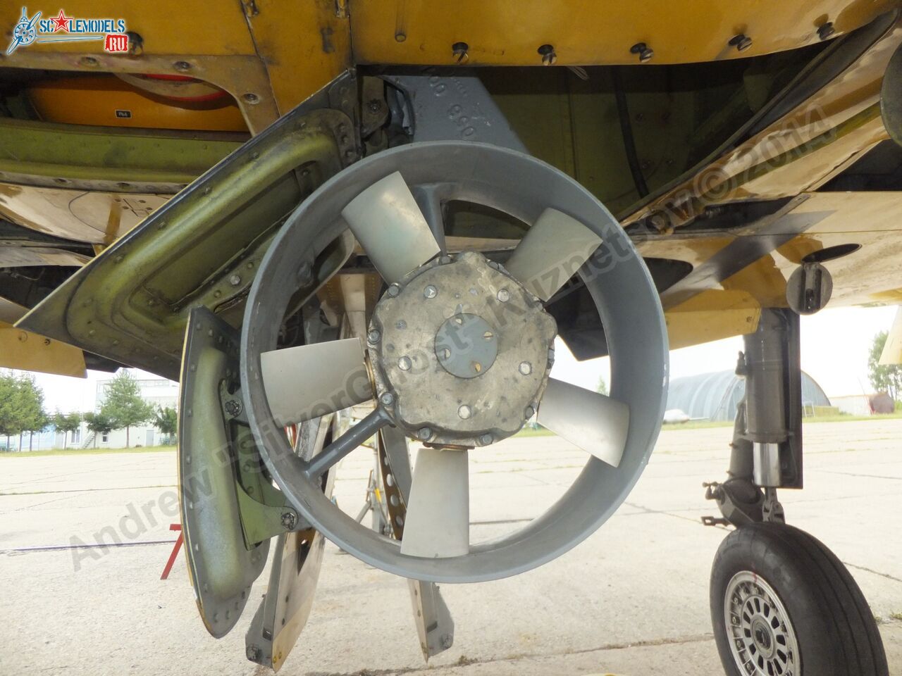 L-39_Albatros_05_0134.jpg