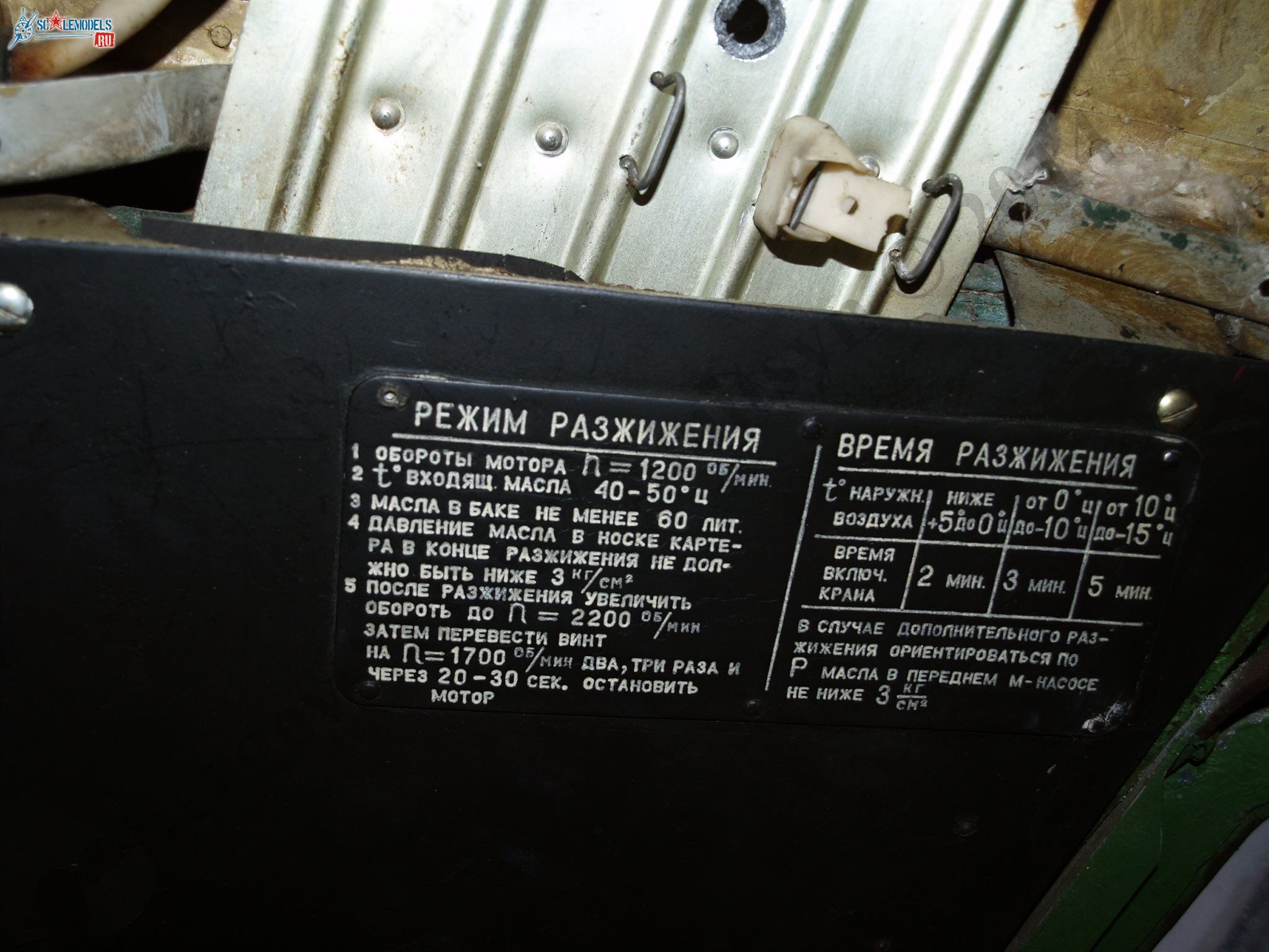 PB101011.JPG