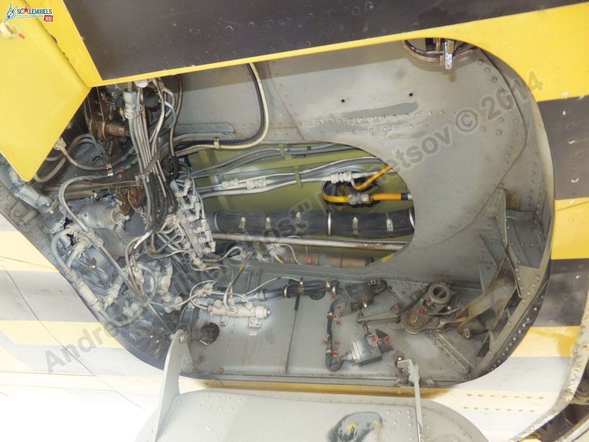 L-39_Albatros_05_0112.jpg