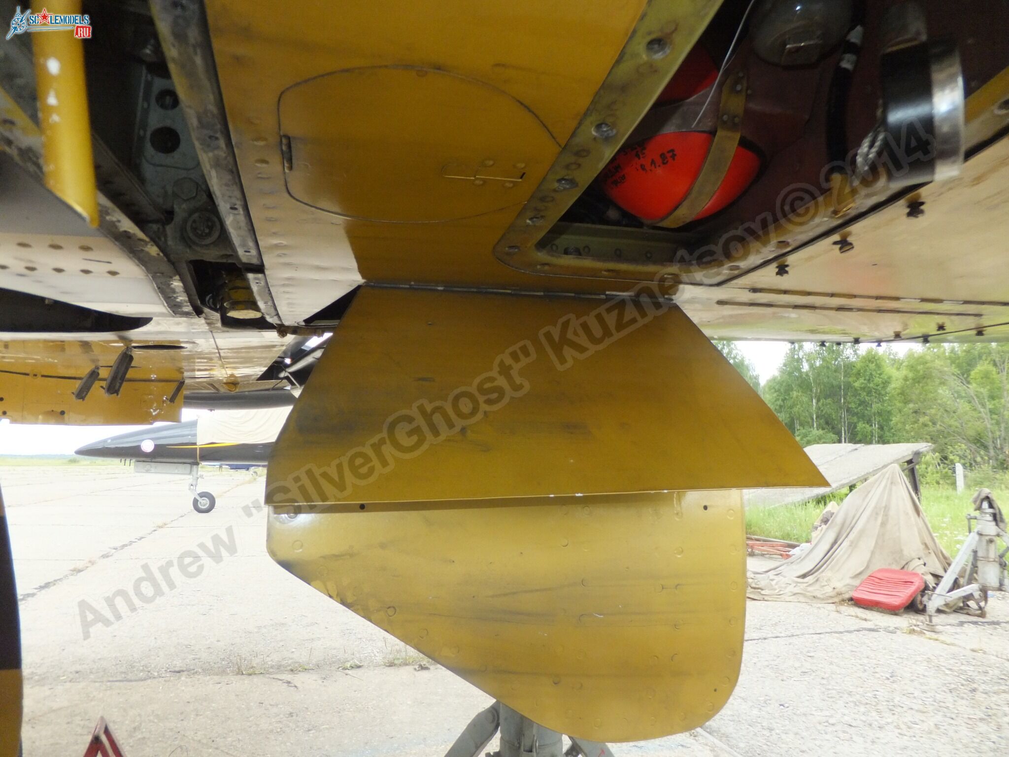 L-39_Albatros_05_0125.jpg