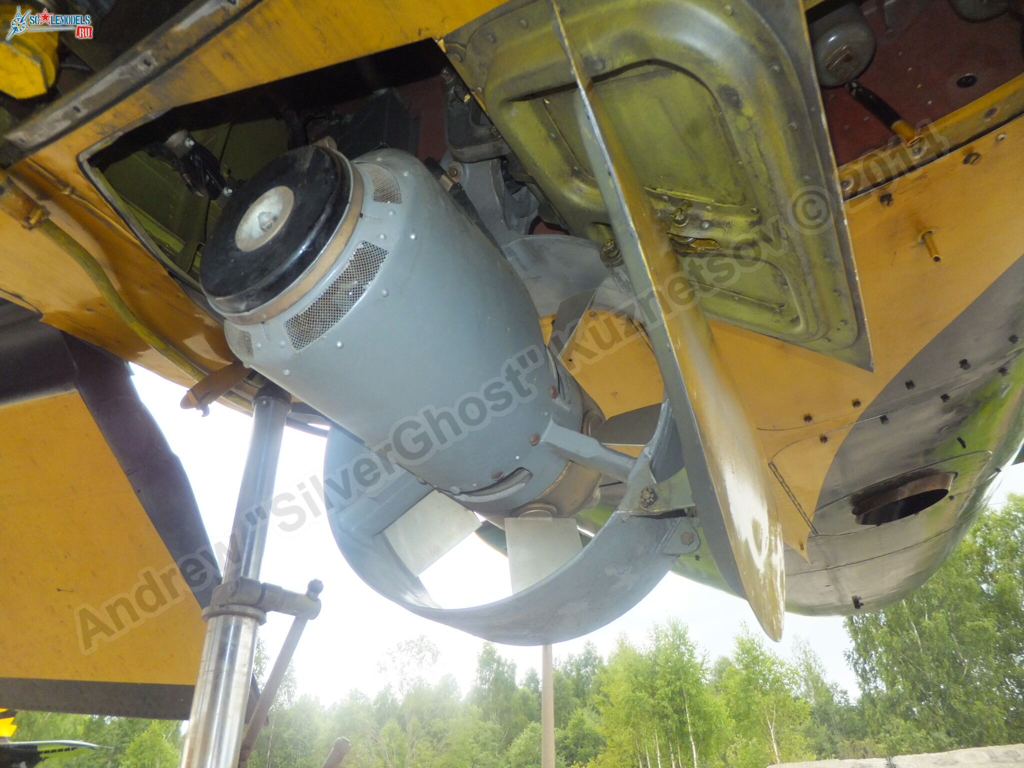 L-39_Albatros_05_0131.jpg