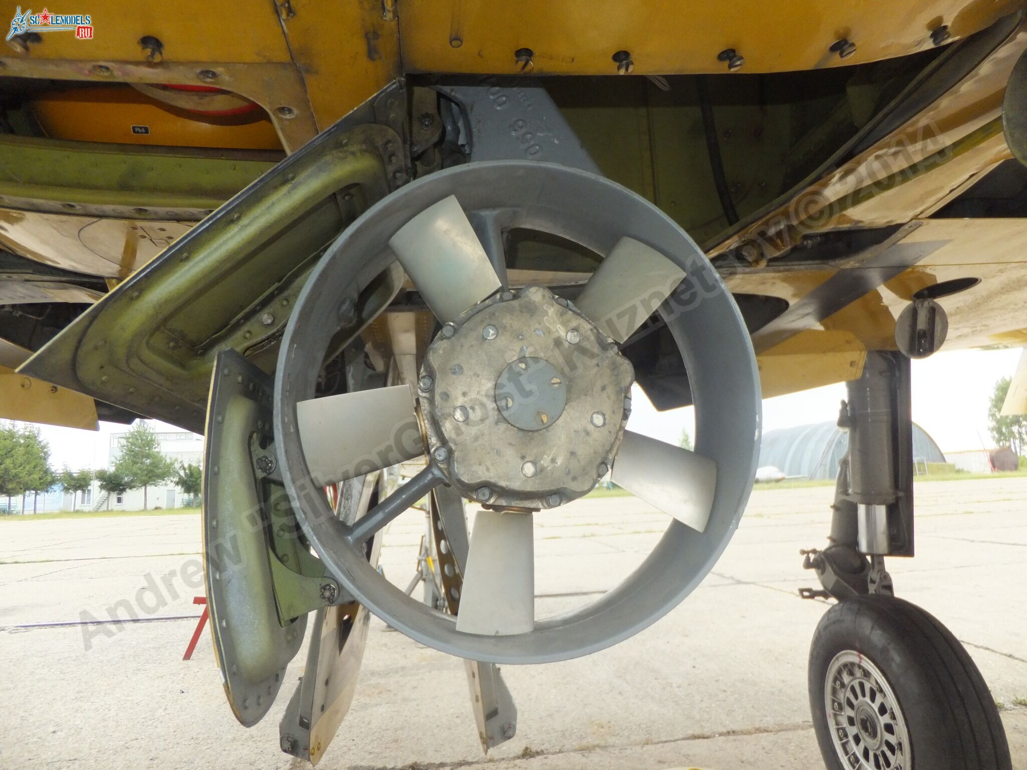 L-39_Albatros_05_0134.jpg