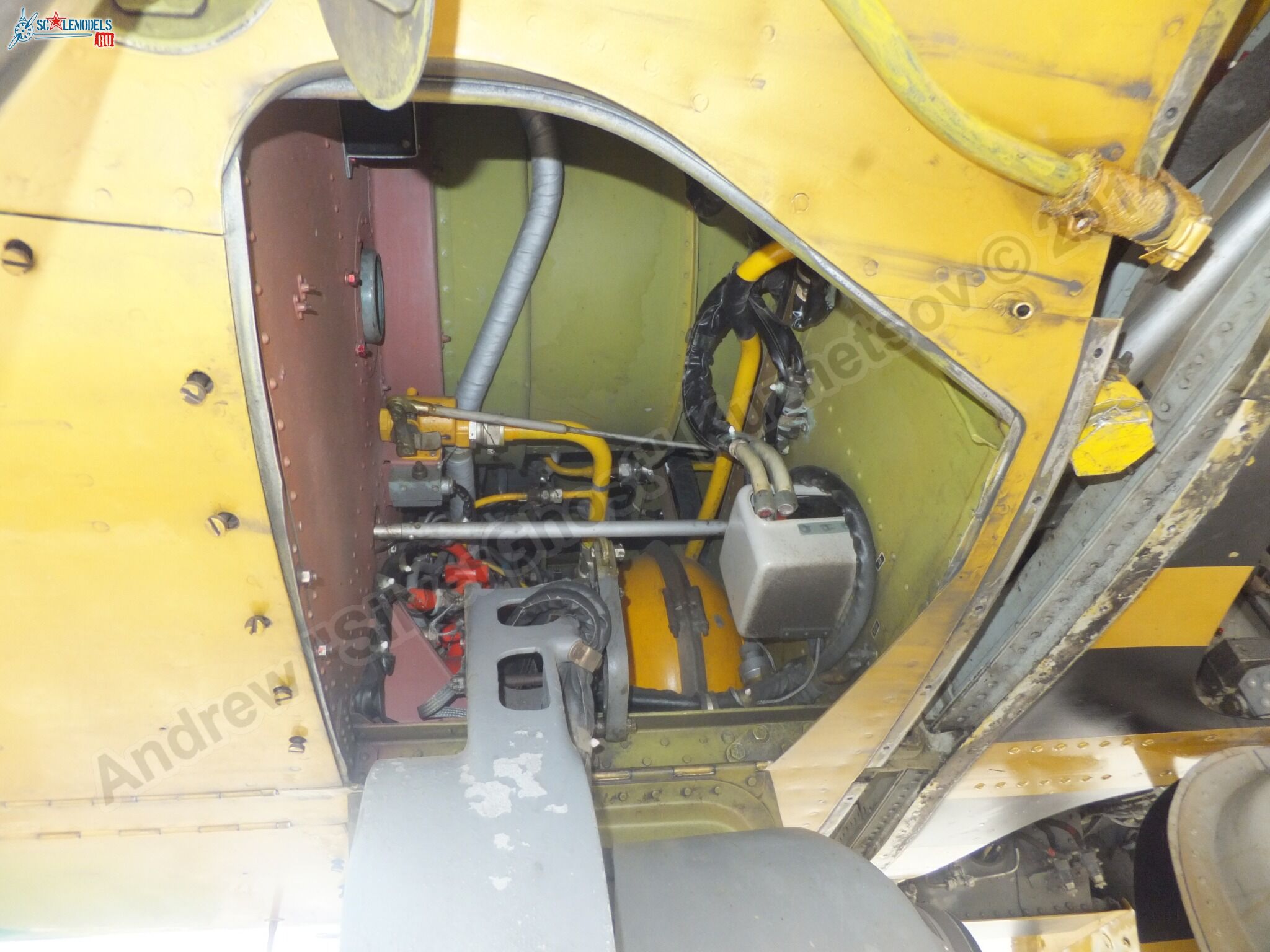 L-39_Albatros_05_0138.jpg