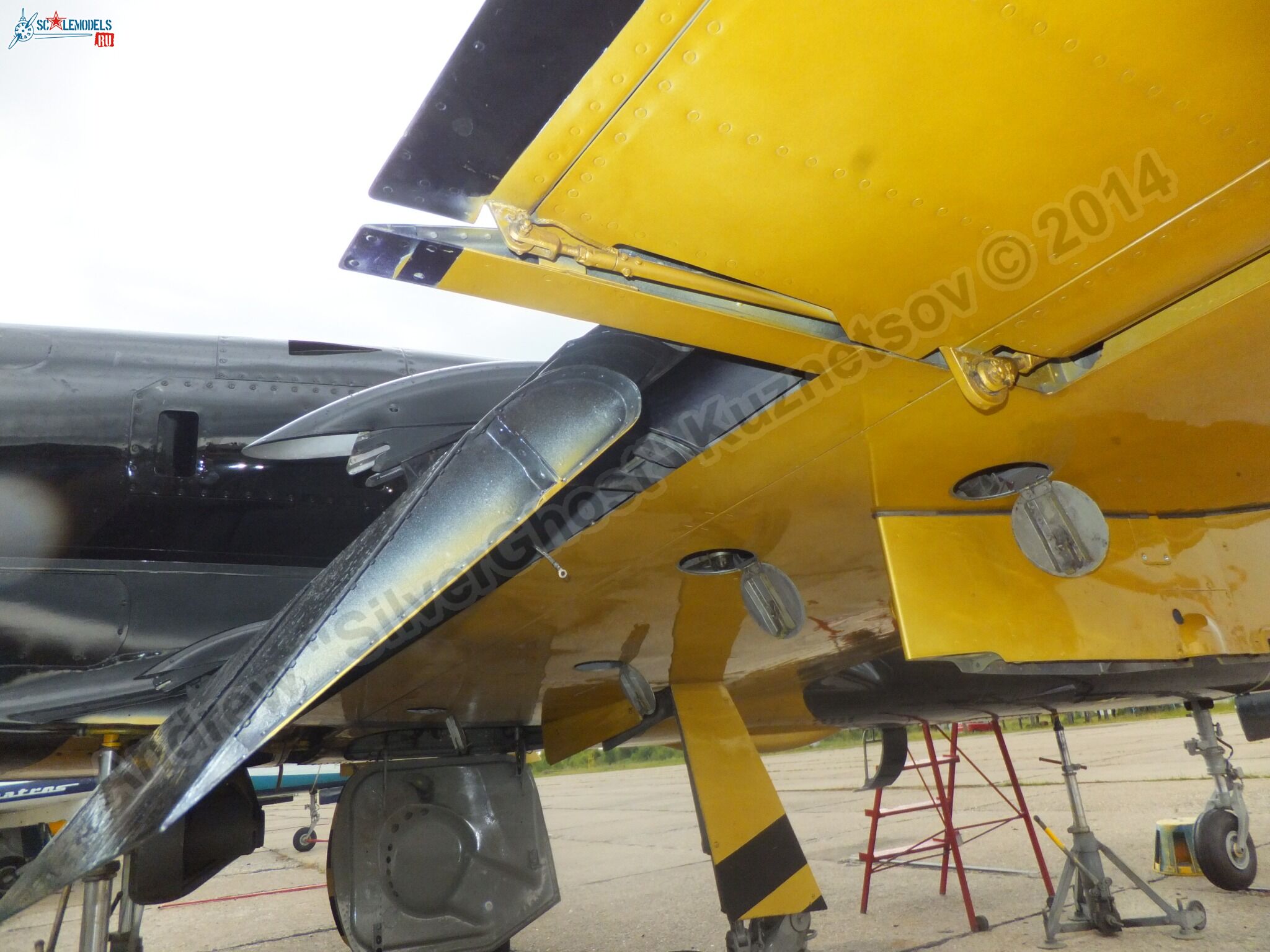 L-39_Albatros_05_0176.jpg