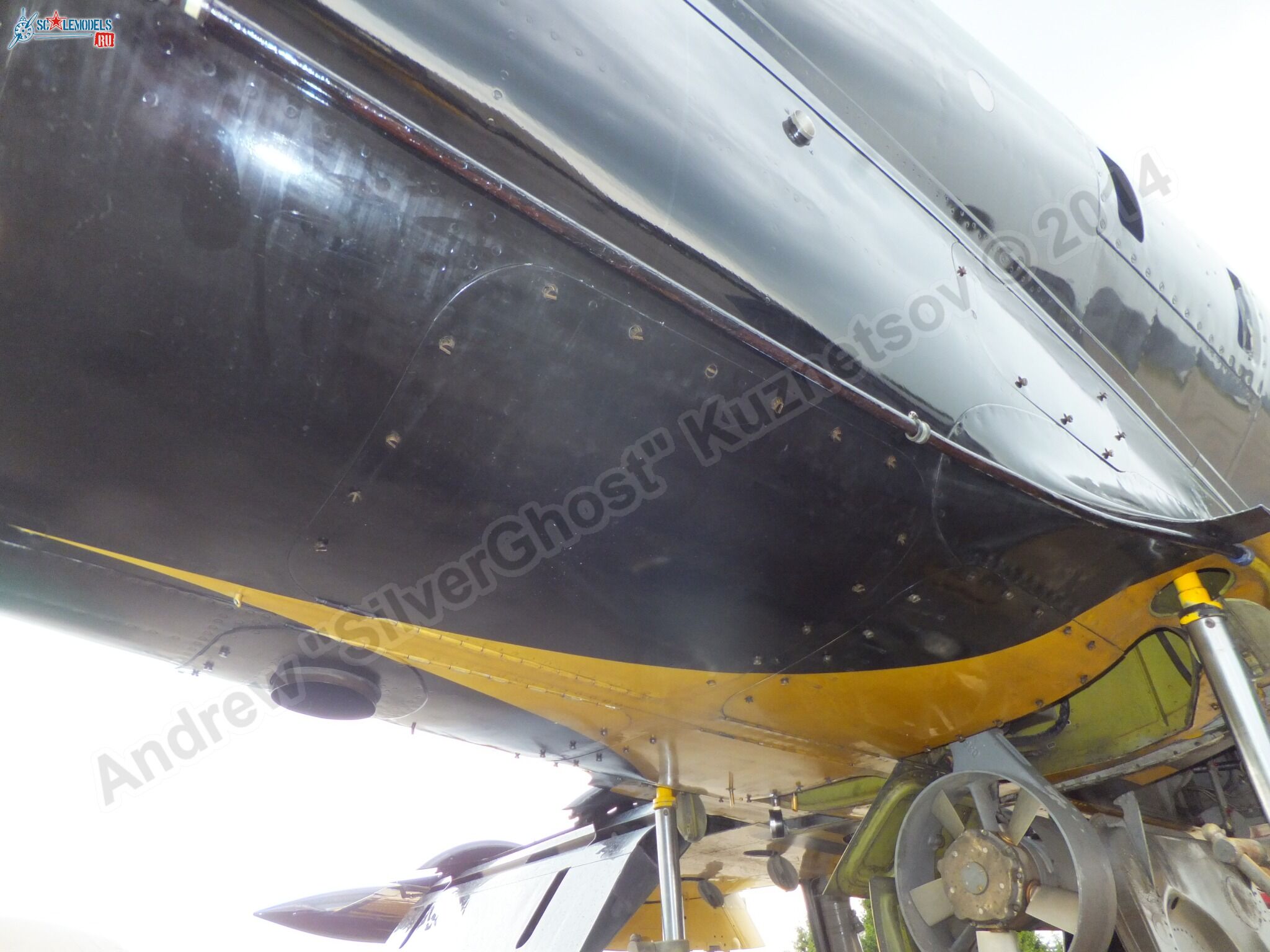 L-39_Albatros_05_0225.jpg