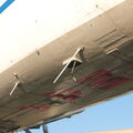 IMG_6788_resize