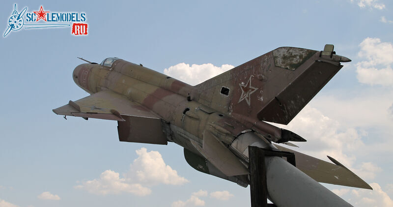 36