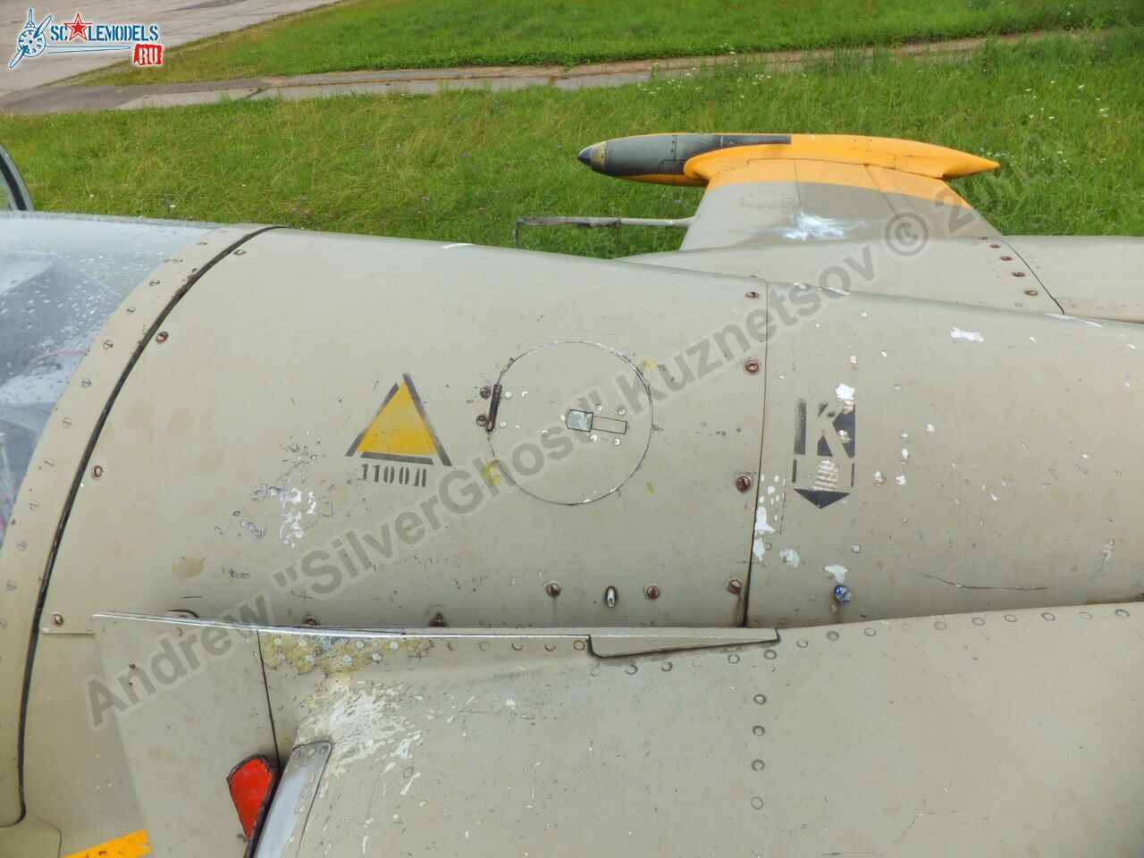 L-39_Albatros_120_0066.jpg
