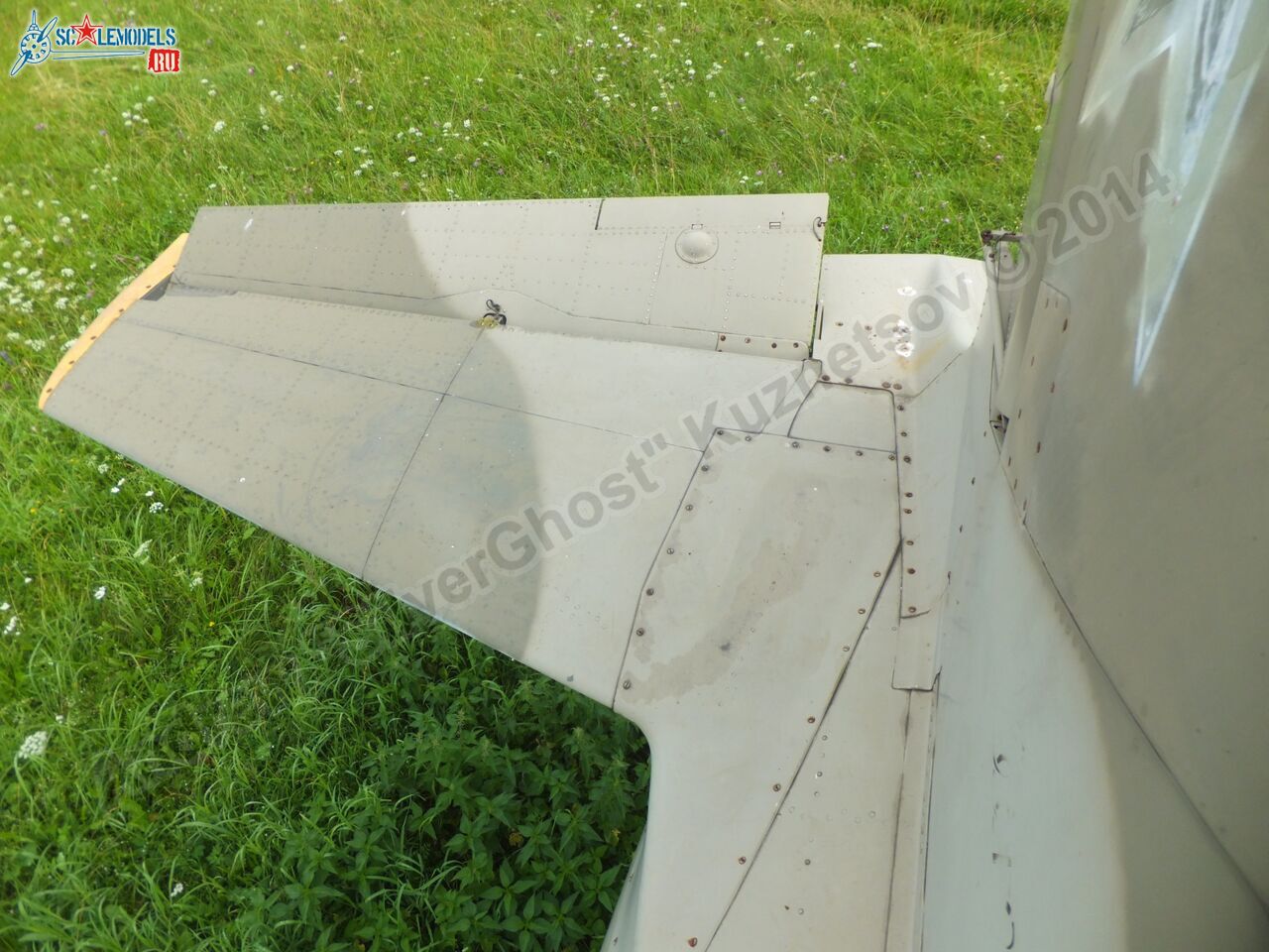 L-39_Albatros_120_0100.jpg