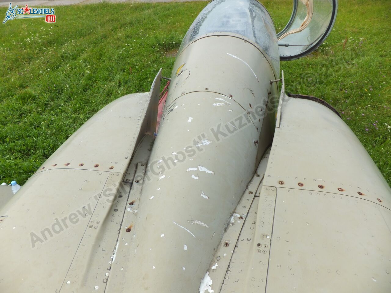 L-39_Albatros_120_0119.jpg