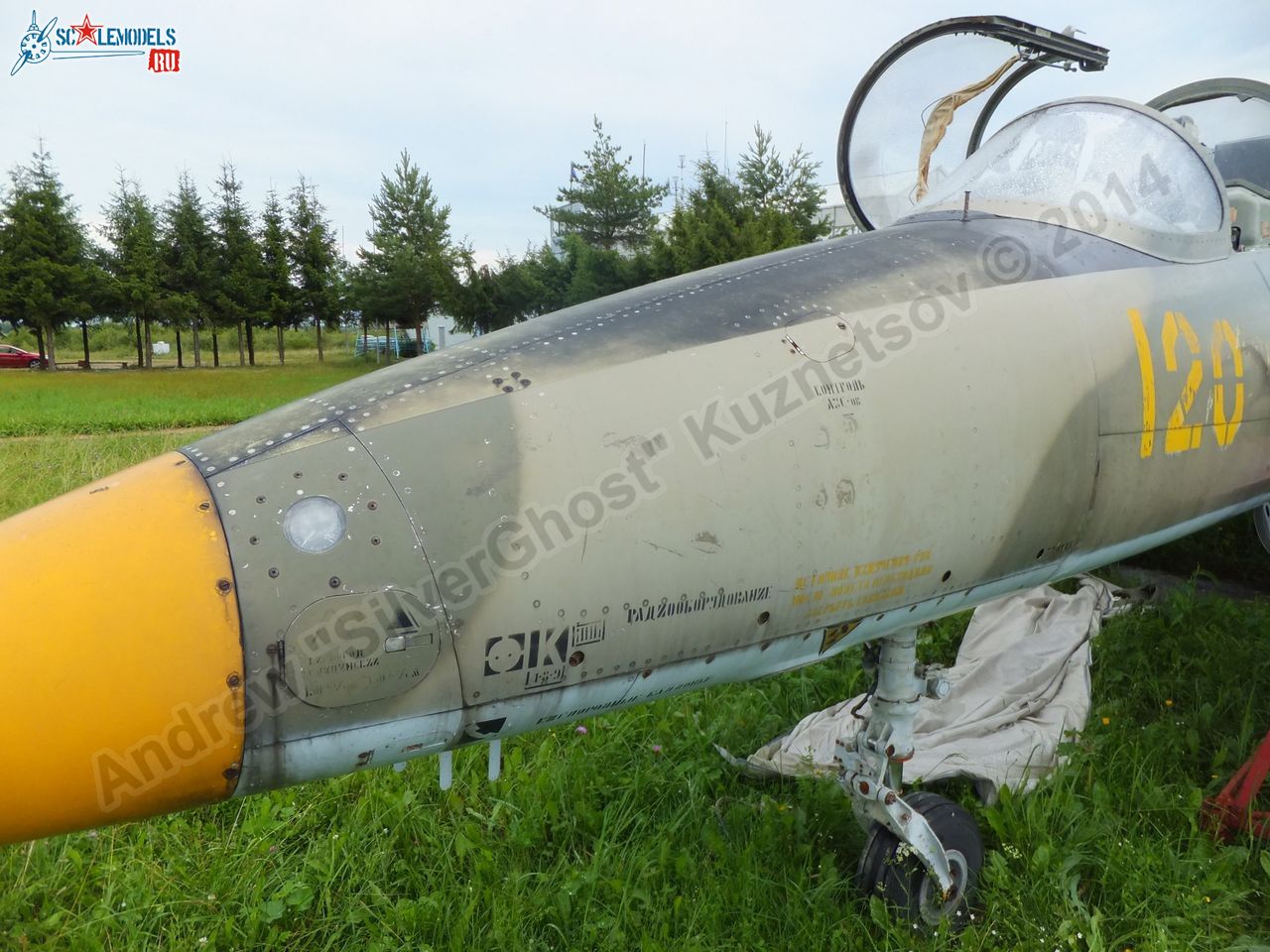 L-39_Albatros_120_0145.jpg