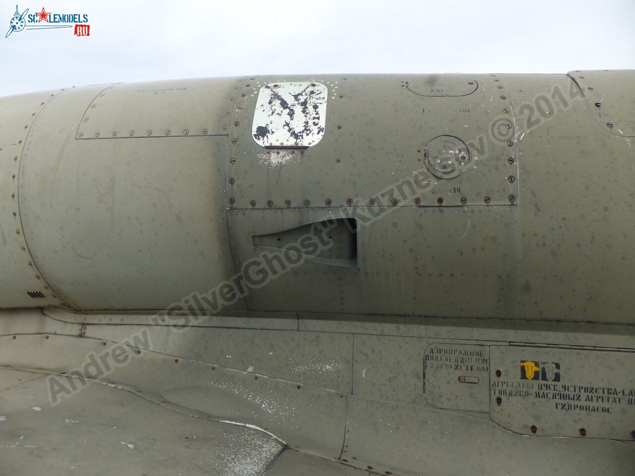 L-39_Albatros_120_0223.jpg