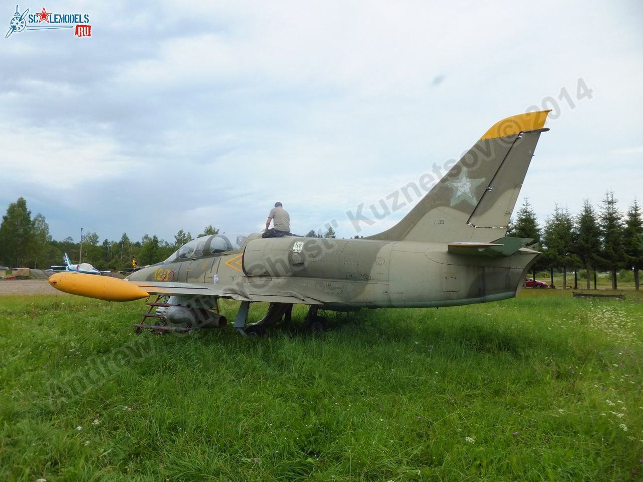 L-39_Albatros_120_0229.jpg