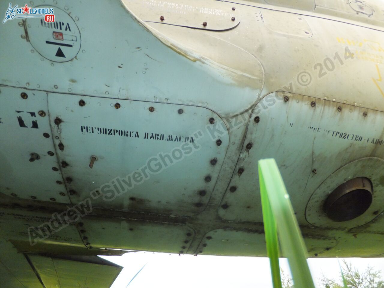 L-39_Albatros_120_0246.jpg