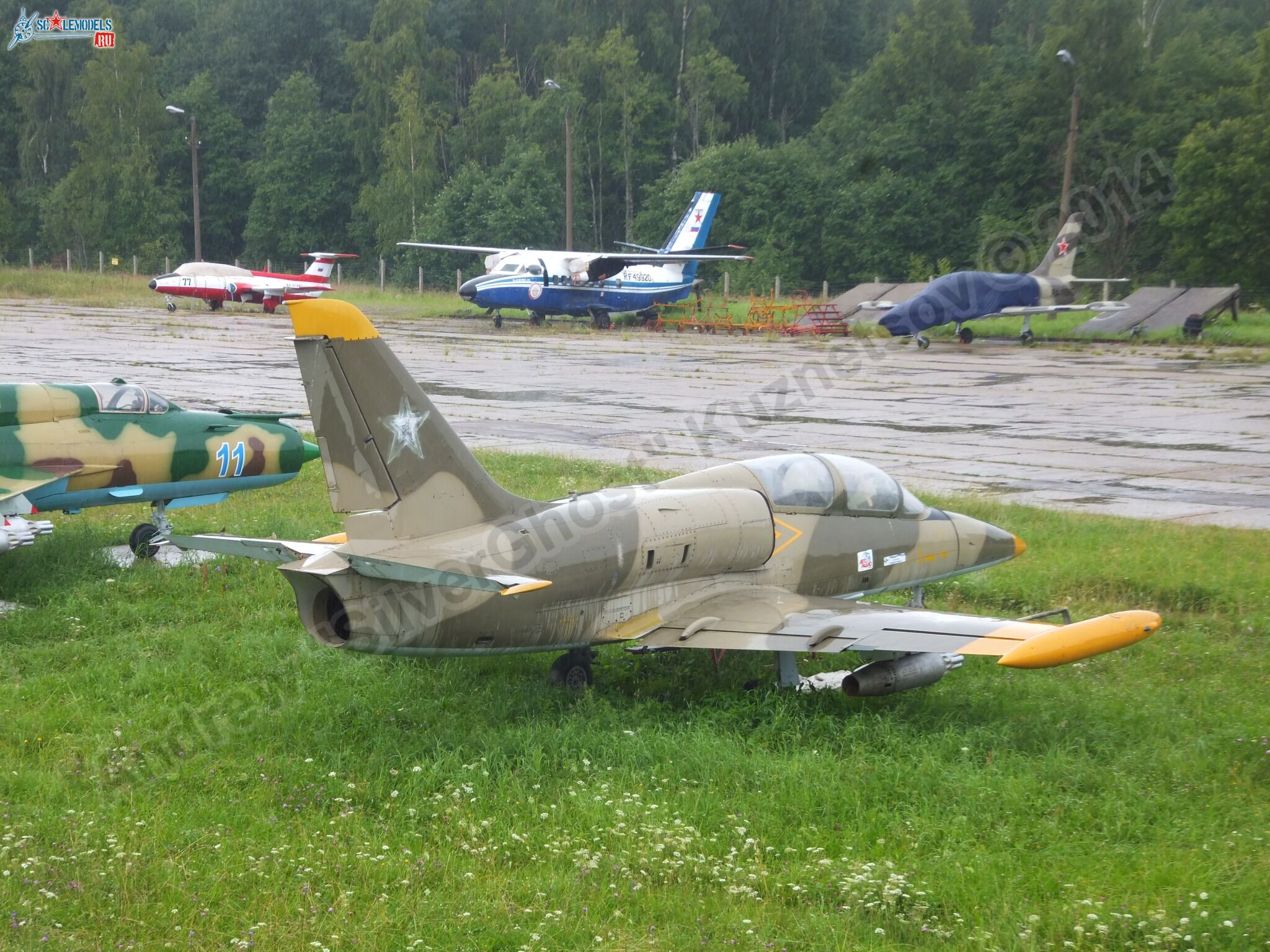 L-39_Albatros_120_0002.jpg