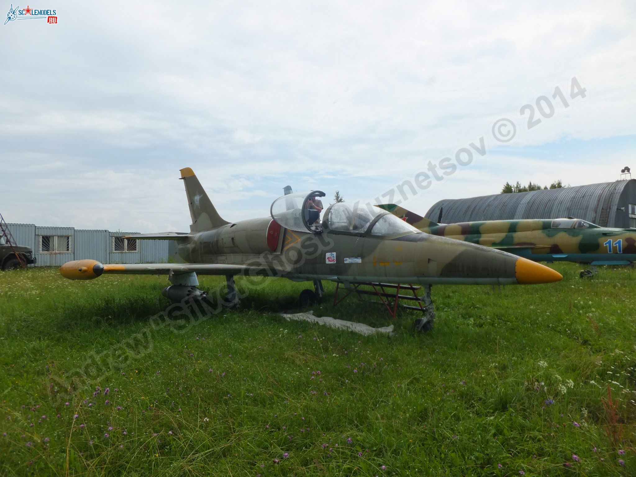 L-39_Albatros_120_0004.jpg