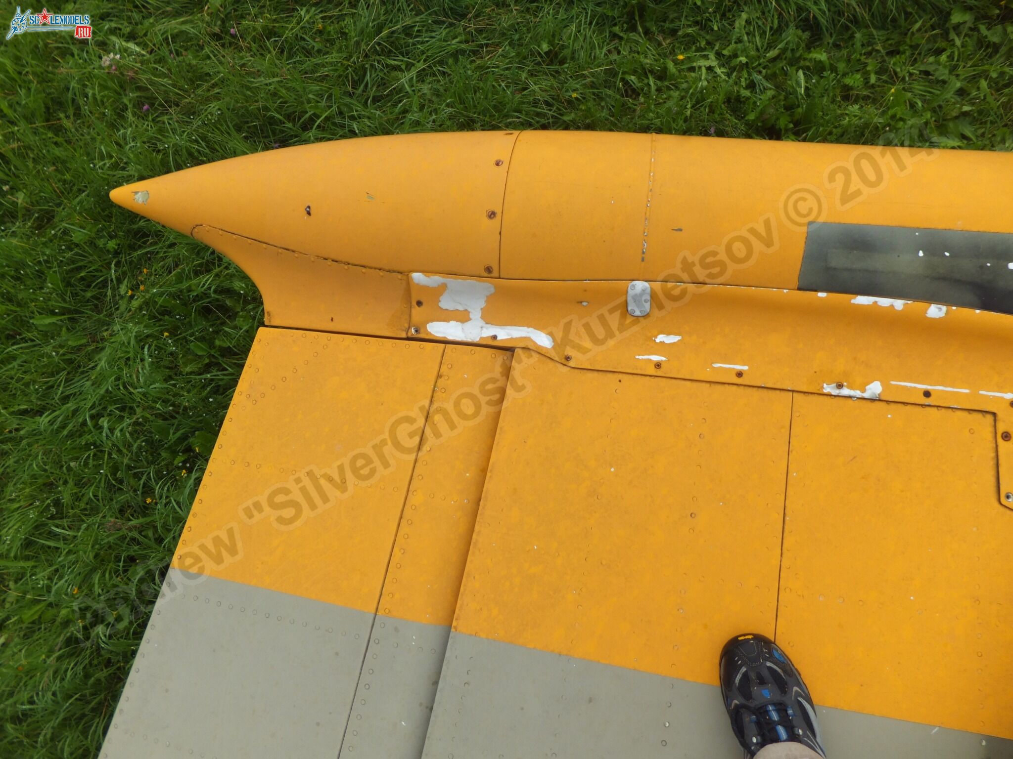 L-39_Albatros_120_0073.jpg