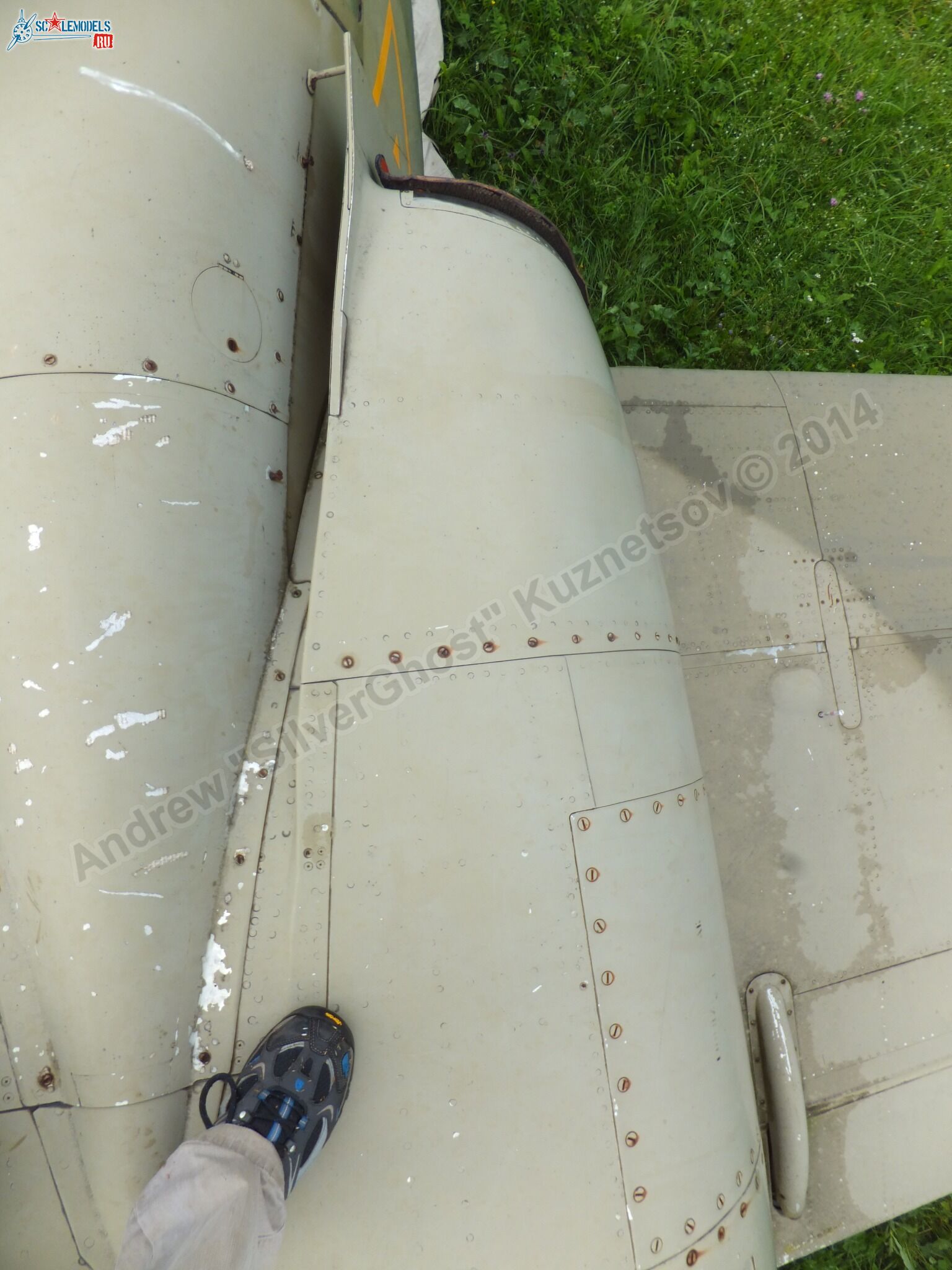 L-39_Albatros_120_0088.jpg