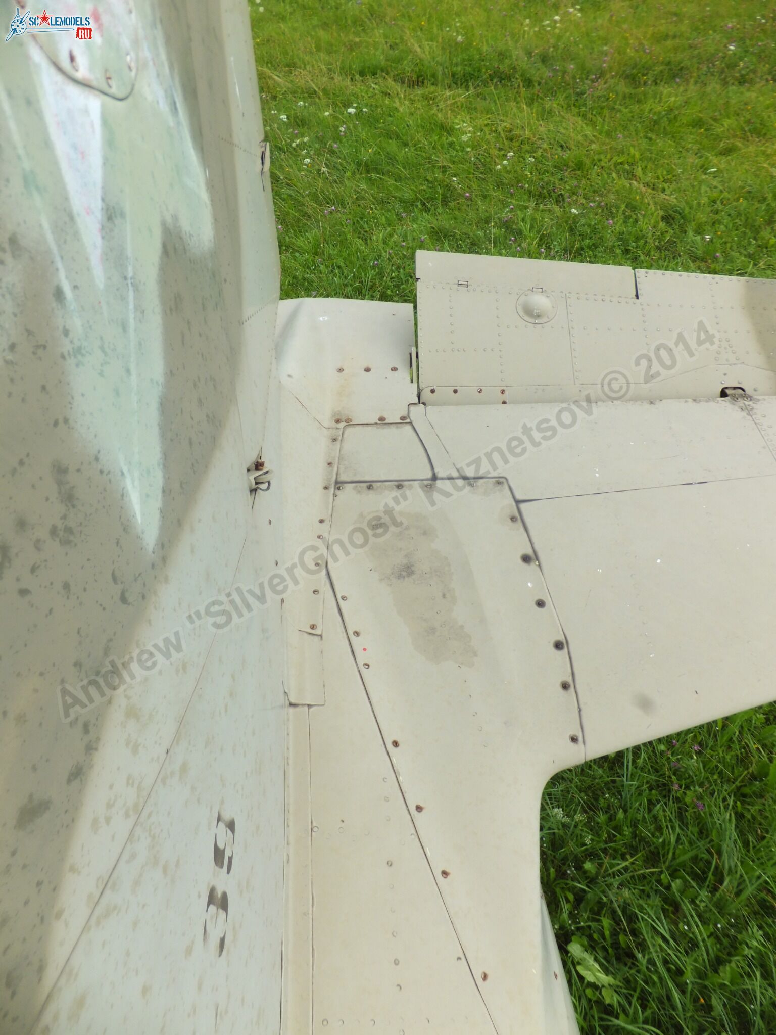 L-39_Albatros_120_0097.jpg